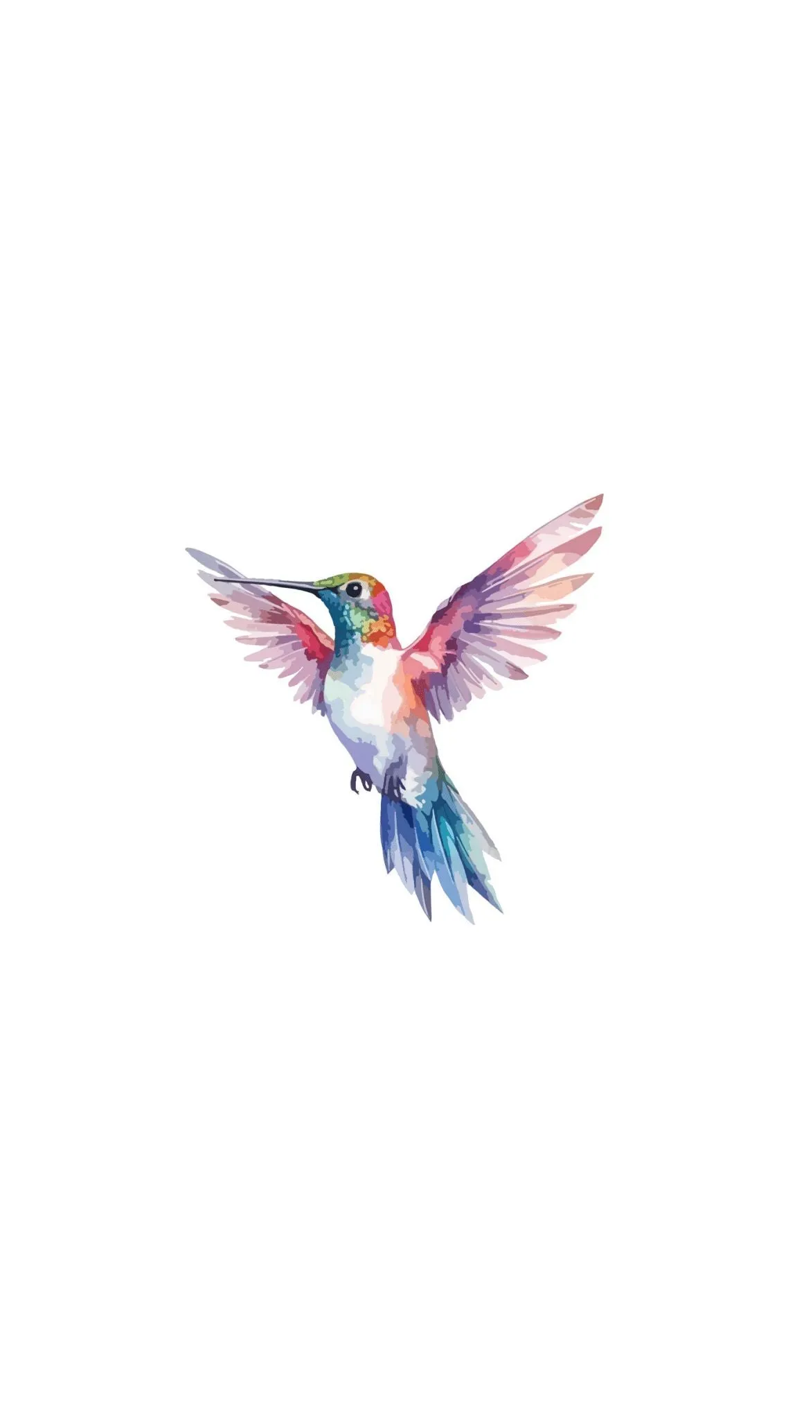 Colorful Bird