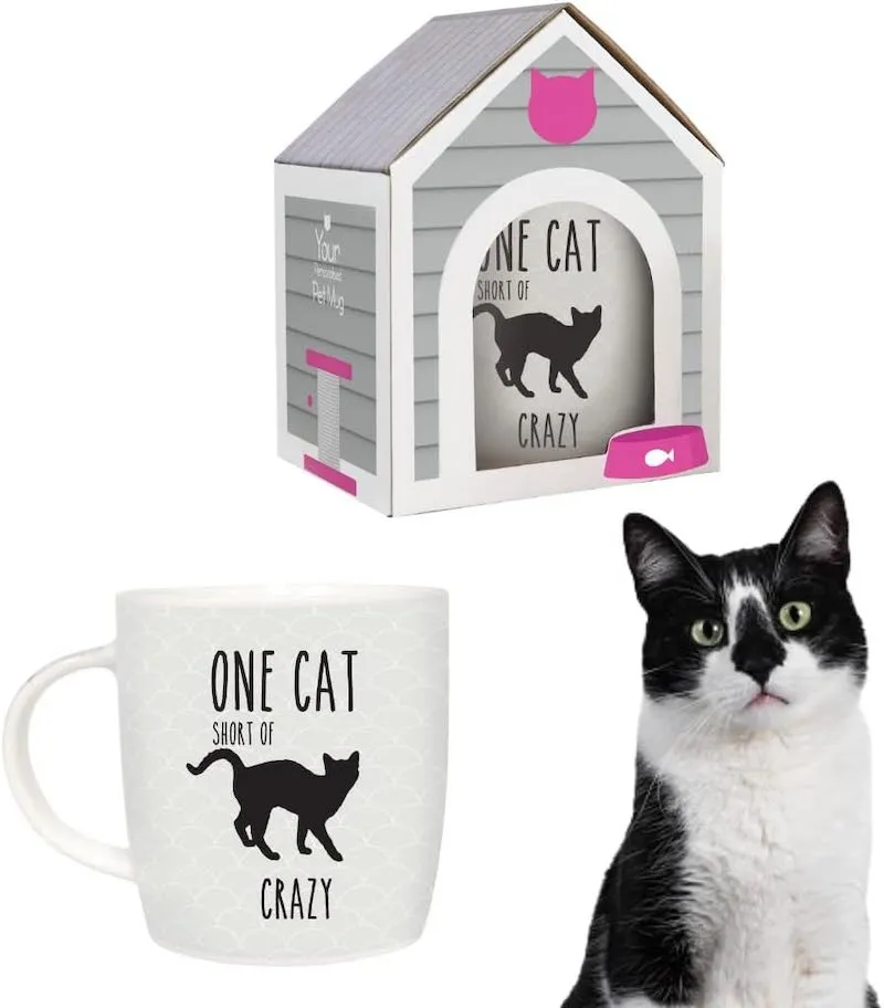 One Cat Short of Crazy Black Cat Mug with Cat House Gift Box