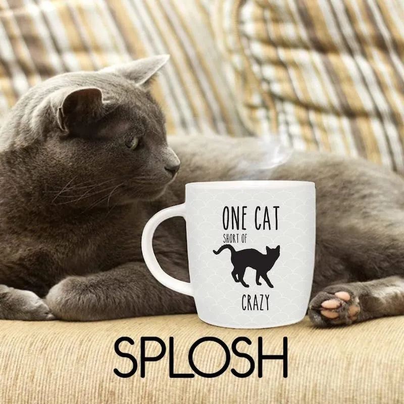 One Cat Short of Crazy Black Cat Mug with Cat House Gift Box