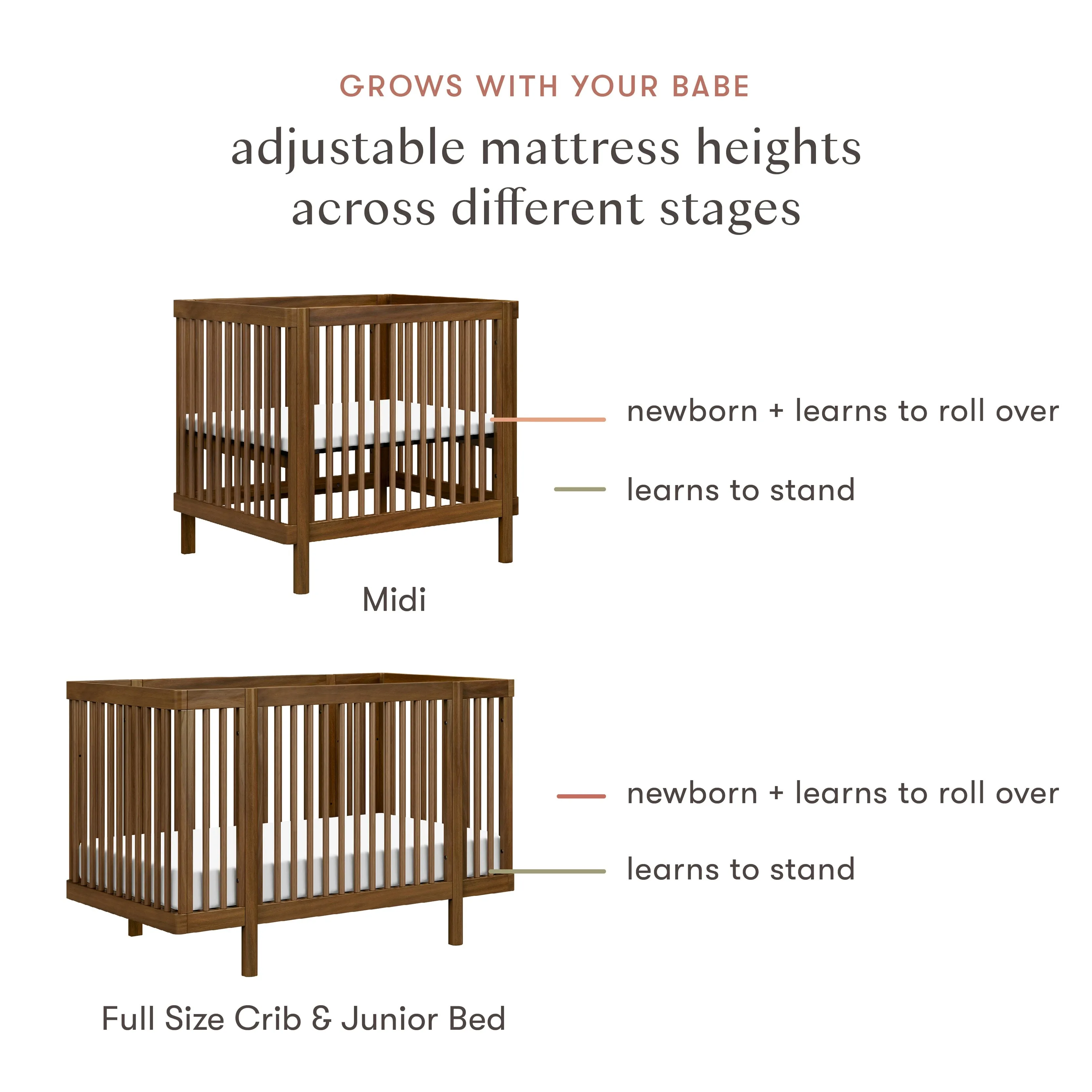 Pogo 8-in-1 Convertible Crib with All-Stages Conversion Kits | Natural Walnut